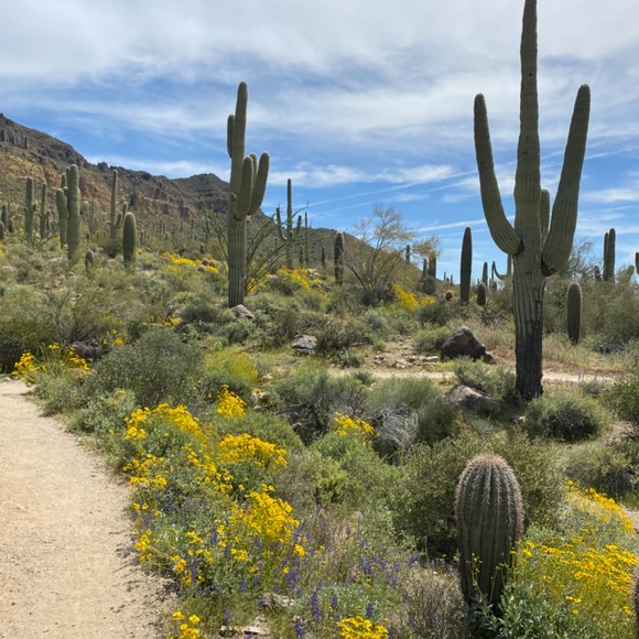 Meet your Posher, Sulee - Picture 3 of 3